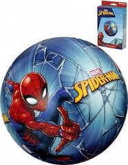 Rannapall Spiderman hind ja info | Täispuhutavad veemänguasjad ja ujumistarbed | kaup24.ee