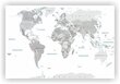 Korgi pilt - maailmakaart. Valge. leedu keel. цена и информация | Seinapildid | kaup24.ee