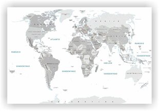 Korgi pilt - maailmakaart. Valge. leedu keel. hind ja info | Seinapildid | kaup24.ee