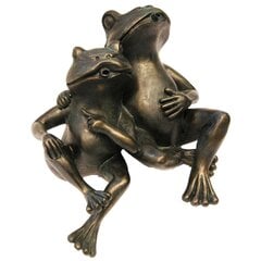 419672 Ubbink Water Feature 2 Frogs 22 cm 1386074 цена и информация | Декорации для сада | kaup24.ee