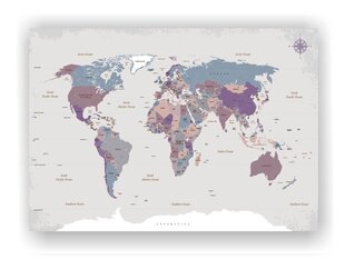 Cork pilt - maailmakaart tihvtidega. Antiikne, hall. hind ja info | Seinapildid | kaup24.ee