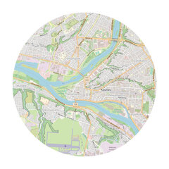 Карта мира из пробкового дерева цена и информация | Картины, живопись | kaup24.ee