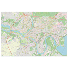 Карта мира из пробкового дерева цена и информация | Картины, живопись | kaup24.ee