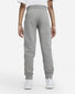 Nike Püksid B Nsw Club Ft Jogger Pant Grey DA0864 091 DA0864 091/M цена и информация | Poiste püksid | kaup24.ee