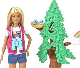 Кукла с аксессуарами Mattel Barbie Wilderness Guide Interactive Playset with Barbie Doll цена и информация | MUST Металлическая бутылочка с Ярким рисунком (без BPA) (500ml) для мальчиков от 3+ лет Серая с Машинкой | kaup24.ee