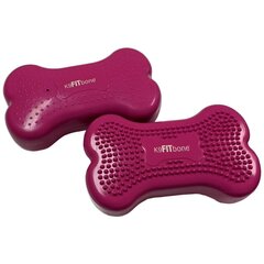 FitPAWS lemmiklooma tasakaalualus "Mini K9FITbone" 2 tk hind ja info | Dresseerimise vahendid koertele | kaup24.ee