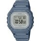 CASIO W-218HC-2AVEF W-218HC-2AVEF цена и информация | Naiste käekellad | kaup24.ee