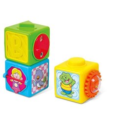 PLAYGO INFANT&TODDLER klotsid piltidega, 2085 hind ja info | Imikute mänguasjad | kaup24.ee