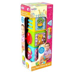 PLAYGO INFANT&TODDLER klotsid piltidega, 2085 hind ja info | Imikute mänguasjad | kaup24.ee