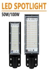 100W LED prožektor AC 180-240V цена и информация | Уличное освещение | kaup24.ee