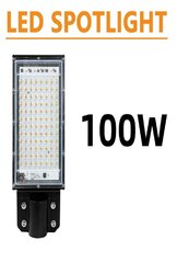 100W LED prožektor AC 180-240V цена и информация | Уличное освещение | kaup24.ee