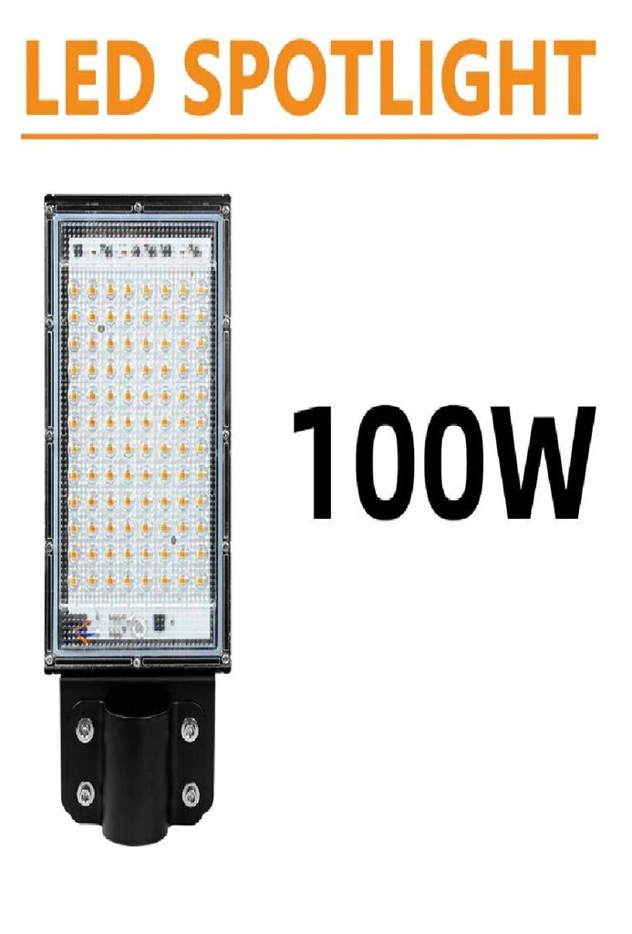 100W LED prožektor AC 180-240V hind ja info | Aia- ja õuevalgustid | kaup24.ee