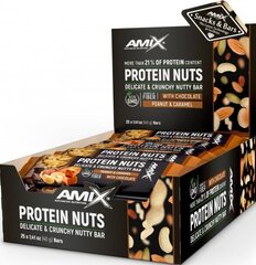 Amix Nutrition Protein Nuts Хрустящий ореховый батончик 40 г - арахис и карамель цена и информация | Витамины, пищевые добавки, препараты для хорошего самочувствия | kaup24.ee