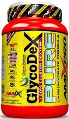 Amix Nutrition GlycoDex® Pure 1000 г цена и информация | Витамины, пищевые добавки, препараты для хорошего самочувствия | kaup24.ee