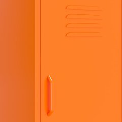 vidaXL hoiukapp, oranž, 42,5 x 35 x 101,5 cm, teras hind ja info | Elutoa väikesed kapid | kaup24.ee