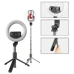 Ringvalgustiga selfipulk Tripod hind ja info | Selfie sticks | kaup24.ee