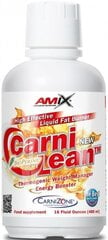 Amix Nutrition CarniLean Liquid 480 ml hind ja info | Vitamiinid, toidulisandid, preparaadid tervise heaoluks | kaup24.ee