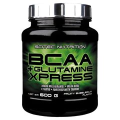 Аминокислота Scitec Nutrition BCAA+Glutamine Xpress, 600 г цена и информация | Аминокислоты | kaup24.ee