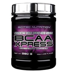 Scitec Nutrition BCAA Xpress 280g цена и информация | Витамины, пищевые добавки, препараты для хорошего самочувствия | kaup24.ee