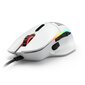 Glorious PC Gaming Race Model Ijuhtmega hiir (lvalge) hind ja info | Hiired | kaup24.ee