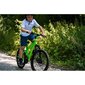 Laste jalgratas Huffy Extent 20", roheline hind ja info | Jalgrattad | kaup24.ee