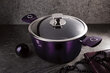 TITAANI POT 24cm BERLINGER HAUS BH-6629 PURPLE hind ja info | Potid ja kiirkeedupotid | kaup24.ee