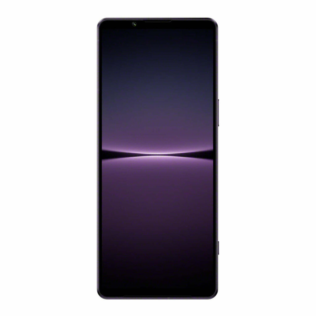 Sony Xperia 1 IV 12/256GB XQCT54C0V.EEAC Lavender hind ja info | Telefonid | kaup24.ee