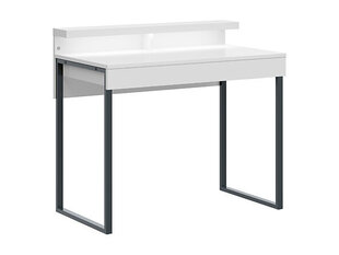 Письменный стол Darin, белый цена и информация | Компьютерные, письменные столы | kaup24.ee
