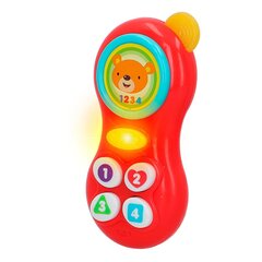 Muusikaliste mänguasjade komplekt koos helinaga Winfun, 18 m + hind ja info | Arendavad mänguasjad | kaup24.ee