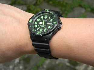 Meeste käekell Casio Sport MRW-200H-3B цена и информация | Мужские часы | kaup24.ee