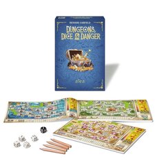 Игра Dungeons, Dice & Danger цена и информация | Настольные игры, головоломки | kaup24.ee