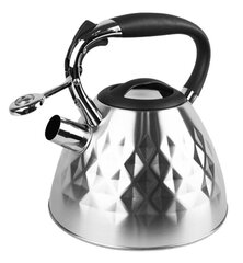 Veekeetja Maestro Enameled Kettle, 3,5 L hind ja info | Maestro Kodutarbed | kaup24.ee