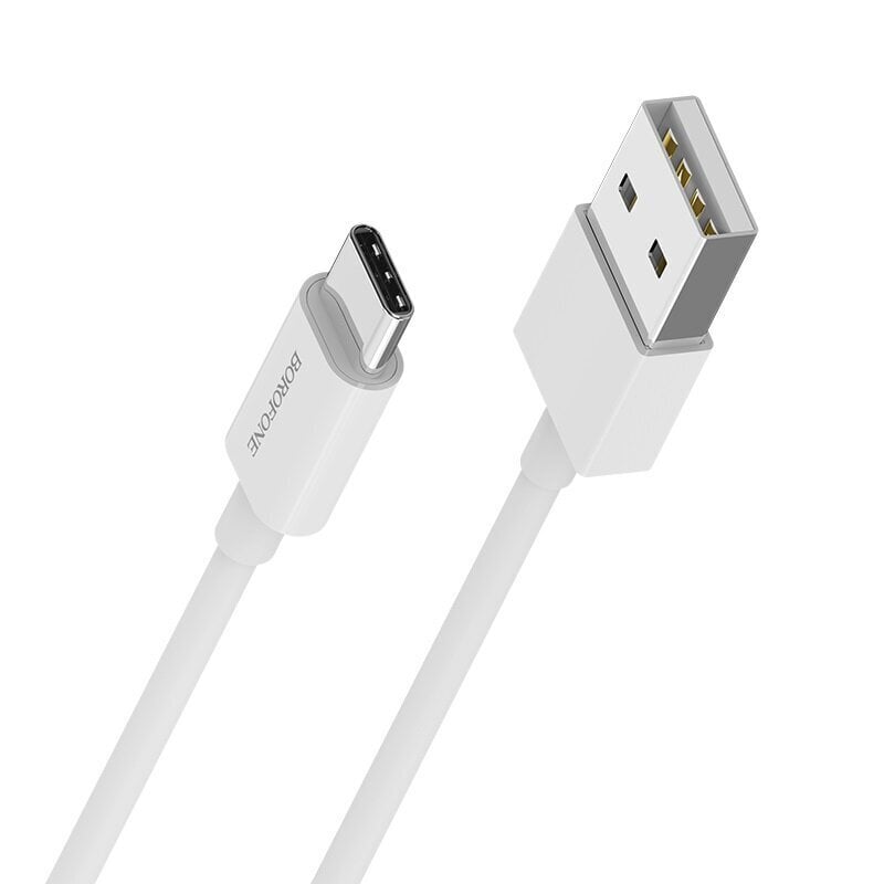 USB kaabel set Borofone BX3 30pcs Type-C 1.0m white цена и информация | Mobiiltelefonide kaablid | kaup24.ee