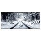 Metro Exodus Winter, must/valge/hall hind ja info | Hiired | kaup24.ee