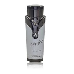 Parfüümvesi Armaf Magnificent Homme EDP meestele, 100 ml цена и информация | Мужские духи | kaup24.ee