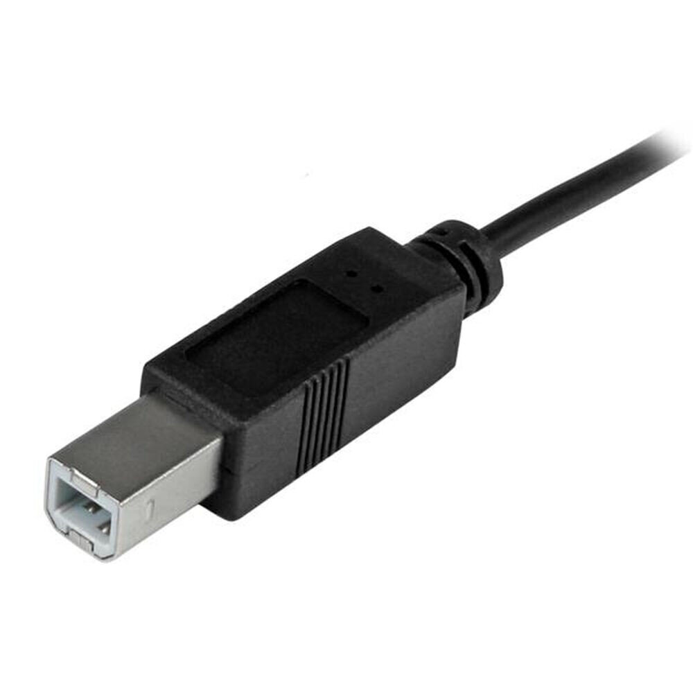 Startech USB2CB2M, USB C /USB B, 2 m цена и информация | Kaablid ja juhtmed | kaup24.ee