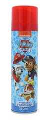 Nickelodeon Paw Patrol Mouldable Foam Soap dušivaht lastele 250 ml hind ja info | Dušigeelid, õlid | kaup24.ee