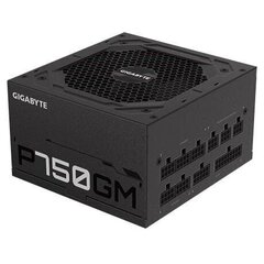 Гидравлический вентилятор Gigabyte P750GM 750 Вт PFC 120 мм ATX Блок питания цена и информация | Материнские платы (PSU) | kaup24.ee