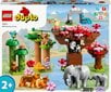 10974 LEGO® DUPLO Metsikud Aasia loomad цена и информация | Klotsid ja konstruktorid | kaup24.ee