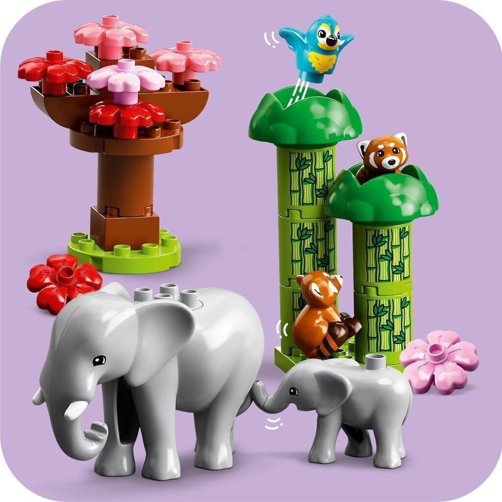 10974 LEGO® DUPLO Metsikud Aasia loomad цена и информация | Klotsid ja konstruktorid | kaup24.ee