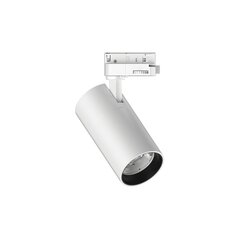 Rööbastee külge kinnitatud valgusti Quick 15W Cri80 30° 3000K White Dali 249681 hind ja info | Siinivalgustid ja siinid | kaup24.ee