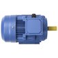 vidaXL 3-faasiline elektrimootor 4kW / 5,5 HP, 2 poolust, 2840 p/min hind ja info | Generaatorid | kaup24.ee