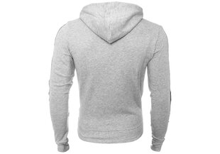 Мужская толстовка Tommy Hilfiger HOODY LS HWK GRAY UM0UM00708 004 17438 цена и информация | Мужские толстовки | kaup24.ee