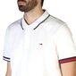 Tommy Hilfiger - DM0DM12963 70404 DM0DM12963_YBR-XL цена и информация | Meeste T-särgid | kaup24.ee