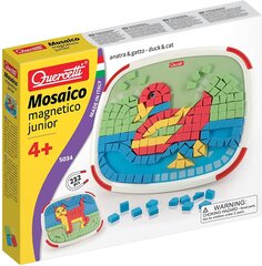 Quercetti Mini Магнитная мозаика, 5034 Li цена и информация | Развивающие игрушки | kaup24.ee