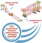 Quercetti SKYRAIL MARBLELEAGUE, 6610 Li hind ja info | Arendavad mänguasjad | kaup24.ee