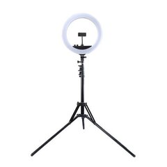 Кольцевая LED лампа 34,5 см, штатив до 1,85 м, зеркало, держатель для телефона, USB цена и информация | Осветительное оборудование для фотосъемок | kaup24.ee