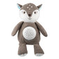 Canpol Babies plüüšist kaisukaru-projektor 3in1, brown, 77/206 hind ja info | Imikute mänguasjad | kaup24.ee