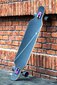 Rula Longboard Raven Neox, 105 cm hind ja info | Rulad | kaup24.ee