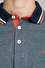 Рубашкa поло Jack&Jones цена и информация | Мужские футболки | kaup24.ee